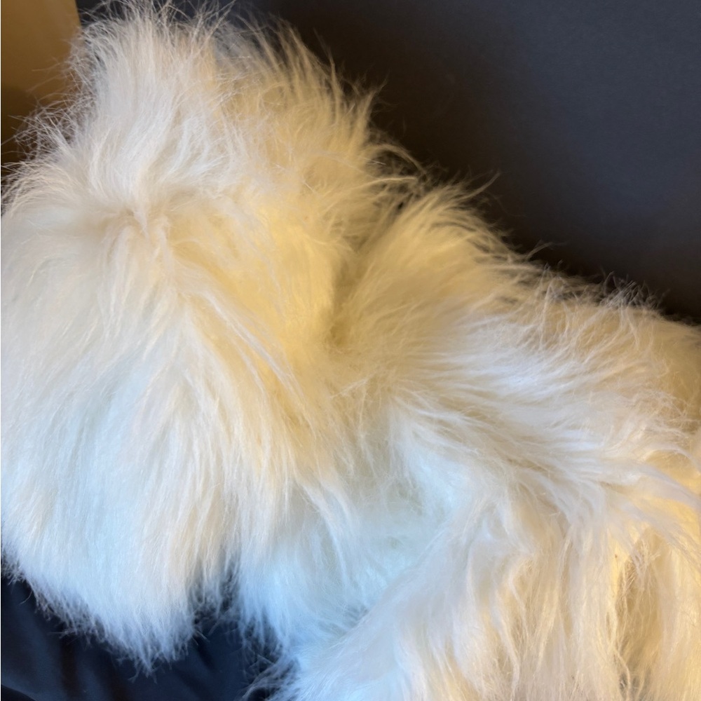 White Fluffy Dog Puppet Stuffed Animal Toy Plush White w Brown Paws Floppy Ears - Picture 5 of 7
